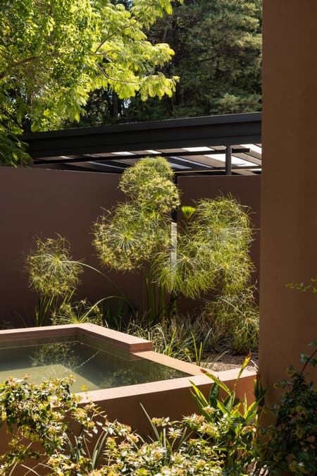 House around the Tree